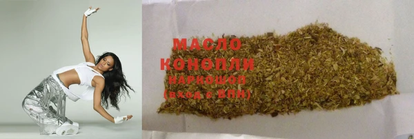 гидра Гусев
