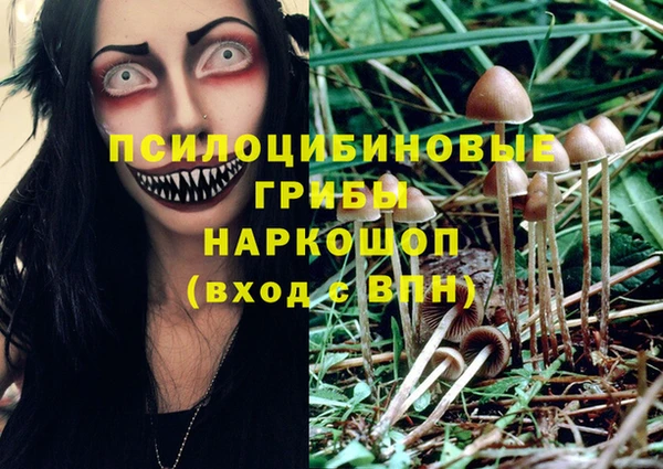 ешки Алексин