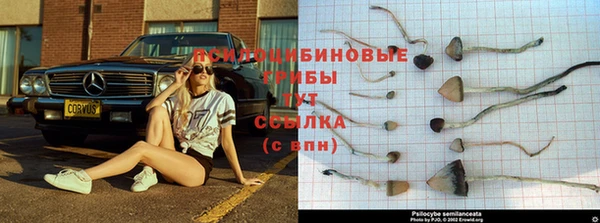 ешки Алексин