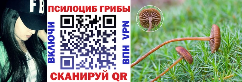 наркотики  Калач-на-Дону  МЕГА ONION  Псилоцибиновые грибы ЛСД 