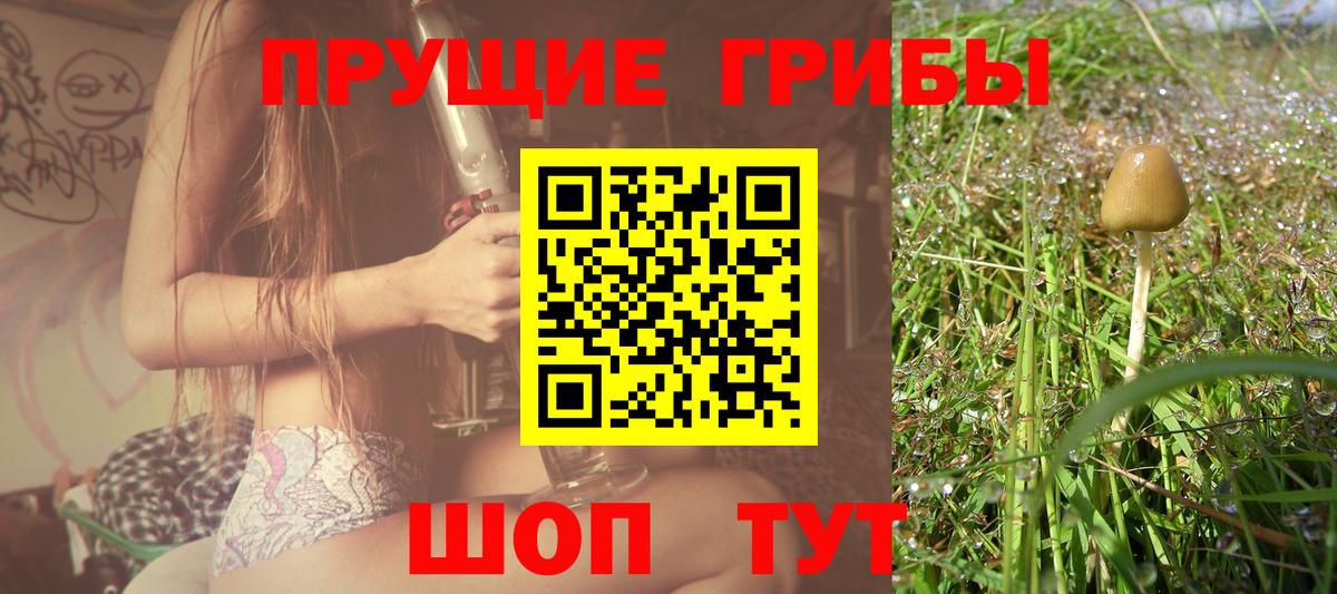 Псилоцибиновые грибы мухоморы Калач-на-Дону