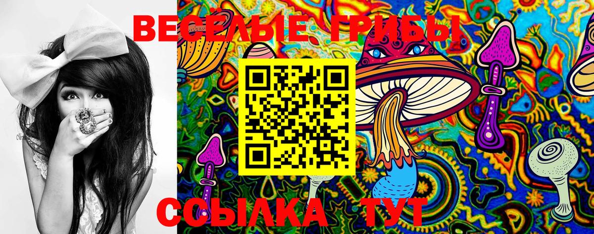 Калач-на-Дону  Галлюциногенные грибы ЛСД  Псилоцибиновые грибы ЛСД  Вход с VPN 